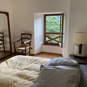 Orchidée 1 Et 2_ Départ De Randonnées Mariac